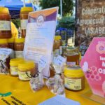 25-de-mayo-|-la-cooperativa-apicola-celebra-la-semana-de-la-miel-con-actividades-y-una-propuesta-de-plaza-tematica