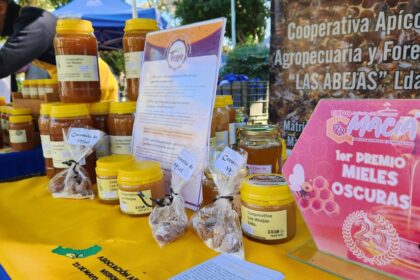 25-de-mayo-|-la-cooperativa-apicola-celebra-la-semana-de-la-miel-con-actividades-y-una-propuesta-de-plaza-tematica