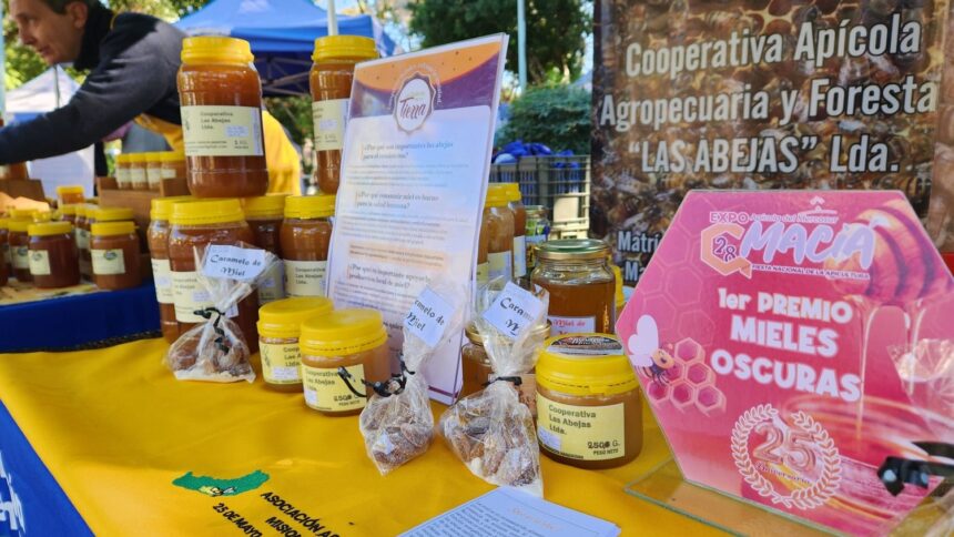 25-de-mayo-|-la-cooperativa-apicola-celebra-la-semana-de-la-miel-con-actividades-y-una-propuesta-de-plaza-tematica