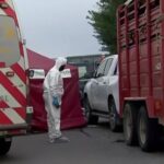 iba-a-un-torneo-de-pato-con-caballos-en-un-trailer,-paro-en-la-autopista-y-un-conductor-lo-atropello,-lo-mato-y-escapo