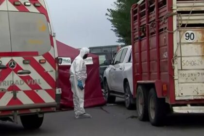 iba-a-un-torneo-de-pato-con-caballos-en-un-trailer,-paro-en-la-autopista-y-un-conductor-lo-atropello,-lo-mato-y-escapo