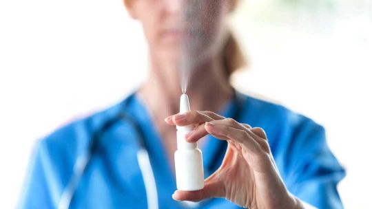 como-actua-el-spray-nasal-que-puede-prevenir-el-contagio-de-hantavirus