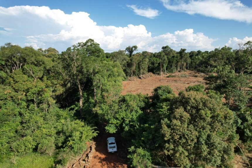 empresario-forestal-denuncia-nueva-usurpacion-de-sus-tierras-en-garuhape-y-acusa-a-emipa-de-impulsar-a-los-mbya-a-la-“toma-masiva”