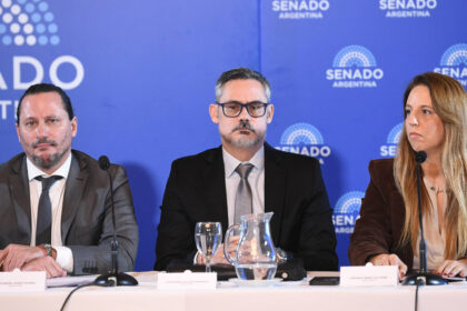 otro-round-en-el-senado-por-los-pliegos-judiciales:-ahora-el-gobierno-quiere-bajar-a-los-jueces-ligados-a-tapia-y-toviggino