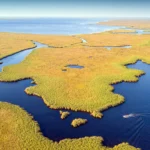turismo-misiones-streaming-presento-una-nueva-edicion-con-foco-en-ecoturismo,-cultura-guarani-y-experiencias-en-la-naturaleza