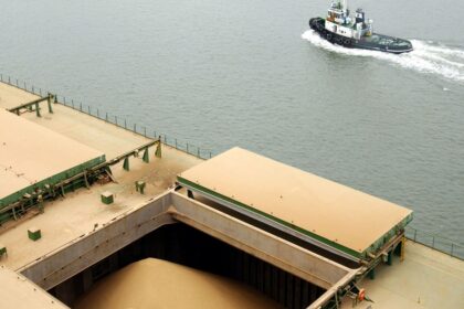 de-la-mano-de-una-mayor-cosecha-de-soja-y-maiz,-el-ingreso-de-divisas-por-parte-del-agro-superaria-us$-36.000-millones-este-ano