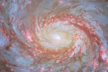 el-james-webb-detecto-un-faro-de-luz-con-el-brillo-de-8000.000-de-soles-en-la-galaxia-del-calamar