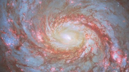el-james-webb-detecto-un-faro-de-luz-con-el-brillo-de-8000.000-de-soles-en-la-galaxia-del-calamar