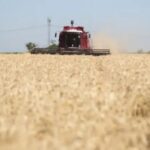 expectativa-en-la-industria-triguera-por-la-eliminacion-de-las-retenciones:-“quitarla-no-seria-un-costo-fiscal-significativo-para-el-estado”