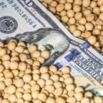 fuertes-subas-de-precios-de-soja,-maiz-y-trigo-tras-el-anuncio-de-compras-de-china-a-estados-unidos