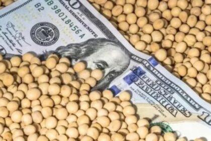 fuertes-subas-de-precios-de-soja,-maiz-y-trigo-tras-el-anuncio-de-compras-de-china-a-estados-unidos