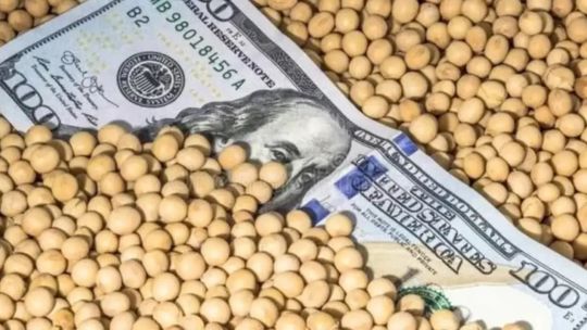 fuertes-subas-de-precios-de-soja,-maiz-y-trigo-tras-el-anuncio-de-compras-de-china-a-estados-unidos