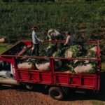 yerbateros-accedieron-a-mas-de-$170-millones-en-descuentos-de-cheques-a-tasa-cero-en-apenas-cuatro-dias