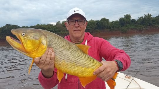 pesca-de-dorados-en-entre-rios:-concordia-ofrece-jornadas-inolvidables