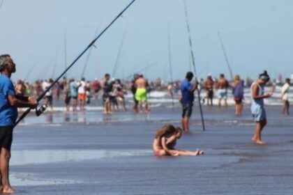 crisis-en-la-pesca:-¿que-pasa-en-el-sector?