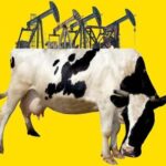 vaca-muerta-promises-flood-of-dollars,-insuring-argentina’s-next-president-against-any-currency-crisis