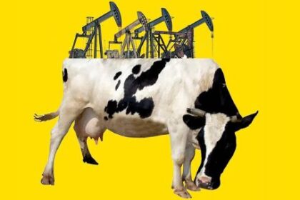 vaca-muerta-promises-flood-of-dollars,-insuring-argentina’s-next-president-against-any-currency-crisis