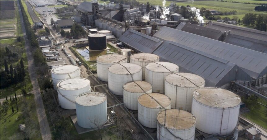 “es-como-tener-a-messi-en-el-banco-de-suplentes”:-hay-6-plantas-de-biodiesel-paralizadas-en-los-puertos-de-rosario-y-piden-cambiar-una-ley