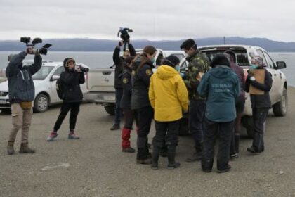 researchers-collect-rodents-near-ushuaia-for-hantavirus-tests