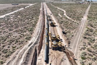 argentina’s-exports-are-on-track-for-a-record-2026-—and-the-agro-is-no-longer-doing-it-alone