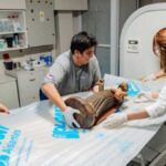 misiones-implementa-tecnologia-especializada-para-analizar-su-patrimonio-cultural:-“para-no-danar-mas-la-pieza,-lo-ideal-es-hacer-estudios-que-no-son-invasivos”