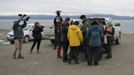 investigadores-recolectan-roedores-cerca-de-ushuaia-para-realizar-pruebas-de-hantavirus