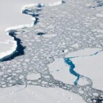 un-desastre-ambiental-silencioso-en-la-antartida-podria-acelerar-el-aumento-del-nivel-del-mar
