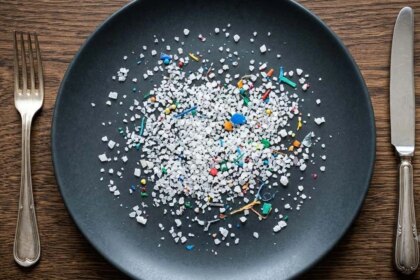 contaminacion-invisible:-cuales-son-los-alimentos-cotidianos-que-concentran-la-mayor-cantidad-de-microplasticos