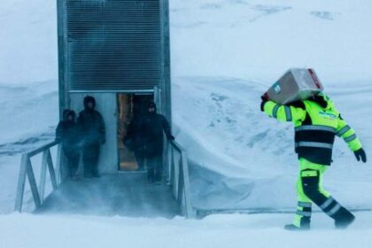 la-boveda-global-de-semillas-de-svalbard-gano-el-premio-princesa-de-asturias-de-cooperacion-internacional-2026