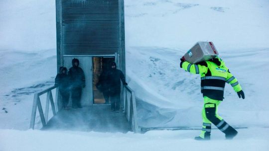la-boveda-global-de-semillas-de-svalbard-gano-el-premio-princesa-de-asturias-de-cooperacion-internacional-2026