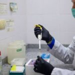 se-detectaron-tres-nuevos-casos-de-hantavirus-en-argentina-y-el-numero-de-contagios-se-eleva-a-105
