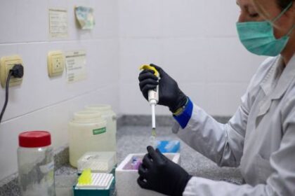 se-detectaron-tres-nuevos-casos-de-hantavirus-en-argentina-y-el-numero-de-contagios-se-eleva-a-105