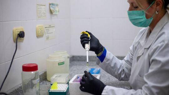se-detectaron-tres-nuevos-casos-de-hantavirus-en-argentina-y-el-numero-de-contagios-se-eleva-a-105