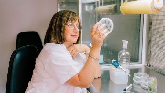 argentine-scientist-wins-global-award-for-her-work-on-‘drought-resistant’-crops