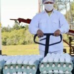 la-argentina-completo-en-tan-solo-15-dias-la-cuota-de-exportacion-de-huevos-sin-arancel-que-otorgo-la-union-europea-al-mercosur