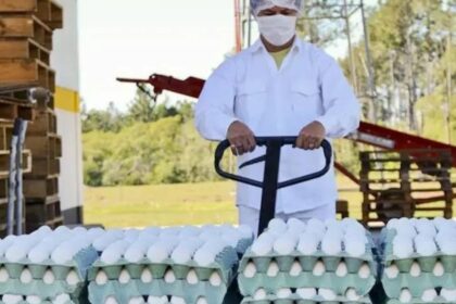 la-argentina-completo-en-tan-solo-15-dias-la-cuota-de-exportacion-de-huevos-sin-arancel-que-otorgo-la-union-europea-al-mercosur
