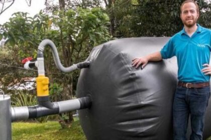 del-descarte-al-recurso:-la-revolucion-de-la-bioeconomia-circular