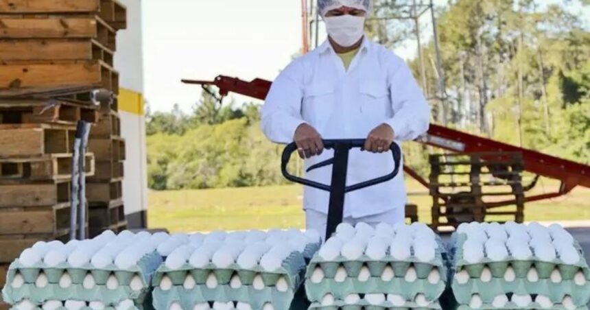 la-argentina-completo-el-100%-en-tan-solo-15-dias-la-cuota-de-exportacion-de-huevos-sin-arancel-que-otorgo-la-union-europea-al-mercosur