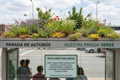 refugios-en-las-paradas-de-colectivo:-la-movida-urbana-para-salvar-a-las-abejas-con-techos-verdes