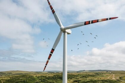 el-curioso-metodo-para-salvar-aves:-descubren-que-pintar-las-turbinas-eolicas-como-serpientes-reduce-las-colisiones