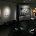 desde-leones-disecados-hasta-retratos:-los-objetos-mas-curiosos-del-museo-de-francois-mitterrand