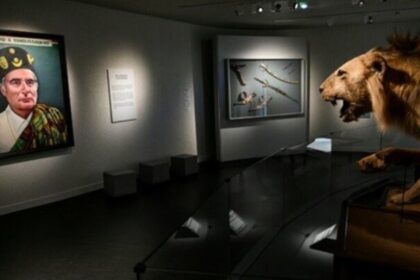 desde-leones-disecados-hasta-retratos:-los-objetos-mas-curiosos-del-museo-de-francois-mitterrand