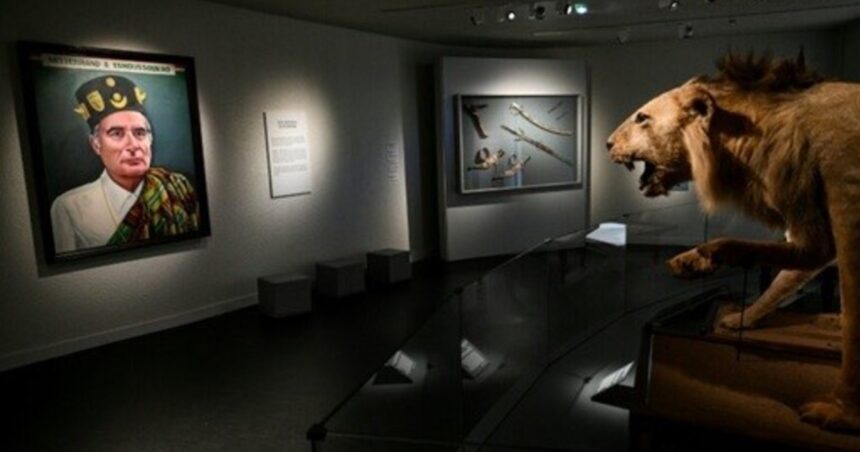 desde-leones-disecados-hasta-retratos:-los-objetos-mas-curiosos-del-museo-de-francois-mitterrand