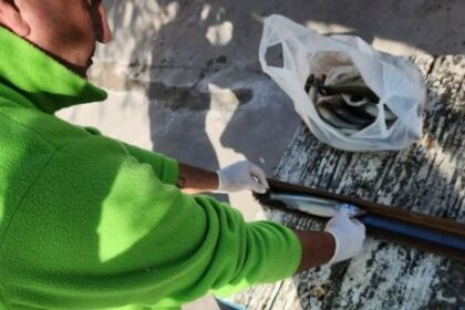 la-importancia-de-contar-con-licencia-y-respetar-los-cupos-de-pesca-en-las-lagunas-bonaerenses