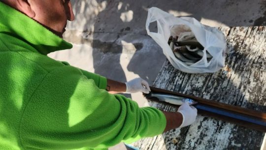la-importancia-de-contar-con-licencia-y-respetar-los-cupos-de-pesca-en-las-lagunas-bonaerenses