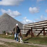argentina’s-economy-hits-new-all-time-high-in-march,-with-broad-based-growth