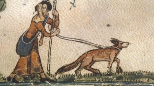 el-enigma-de-los-mil-nombres:-el-manuscrito-del-siglo-xv-que-revela-la-obsesion-medieval-por-los-perros-de-caza