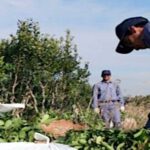 en-“qr!”-analizaron-la-perdida-de-ingresos-de-los-productores-yerbateros-tras-la-desregulacion-del-sector