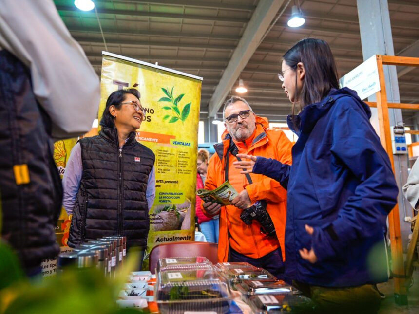 expo-te-argentina-en-posadas:-cronograma-completo-de-la-feria-que-reune-a-mas-de-70-expositores