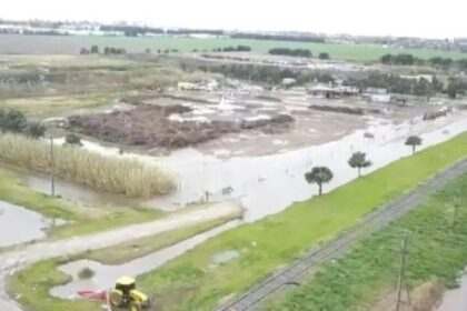 tras-11-meses-de-inundacion-en-la-provincia-de-buenos-aires,-ya-hay-“lotes-donde-se-perdieron-totalmente-los-cultivos”
